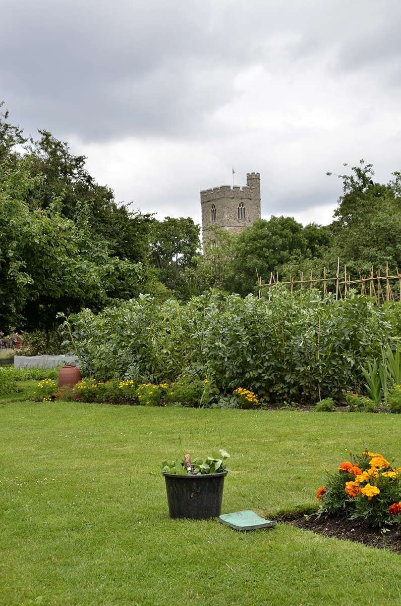 20160618-Fulham_Bishops-Palace_Summer_Landscape_View-to-All-Saints-Church-Fulham-fr-Walled-Garden_OGS