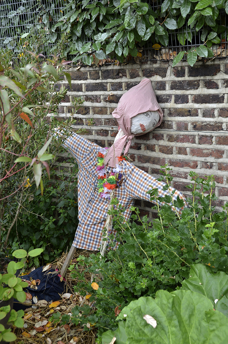 20160618-Fulham_Ravenscourt-Park-Glasshouses_Scarecrow_Summer_OGS