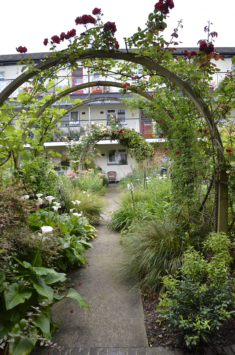 20160618-Hammersmith_Details_Summer_John-Betts-House_Rose-Arch_OGS