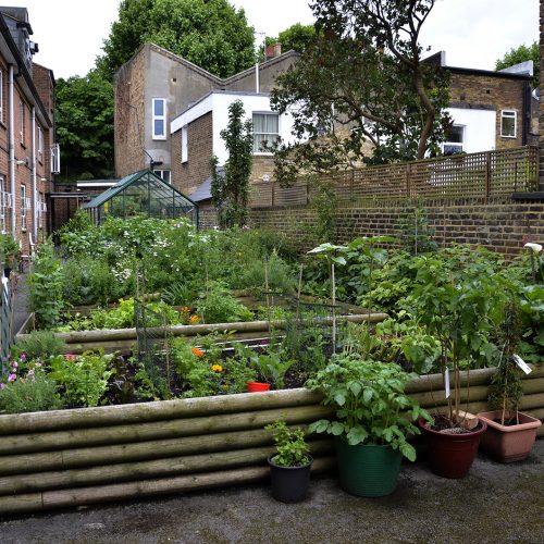 20160618-Hammersmith_John-Betts-House_Summer_Landscape_Back-Gardens-and-Greenhouse_OGS
