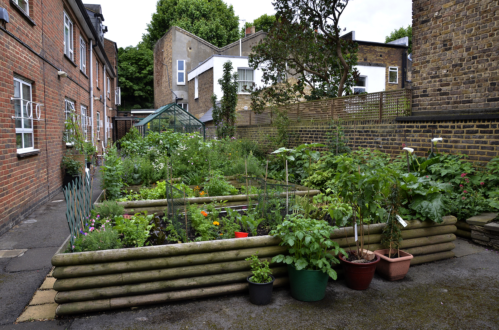 20160618-Hammersmith_John-Betts-House_Summer_Landscape_Back-Gardens-and-Greenhouse_OGS