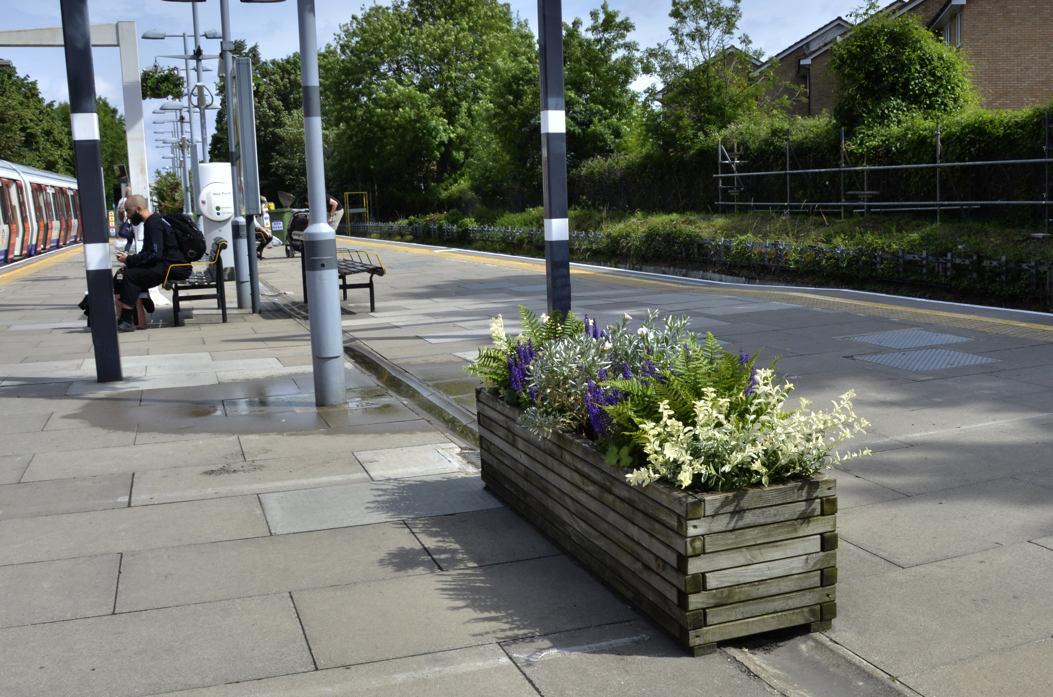 20160618-Wandsworth_Summer_Flora_Preparation-for-Wimbledon-started-today