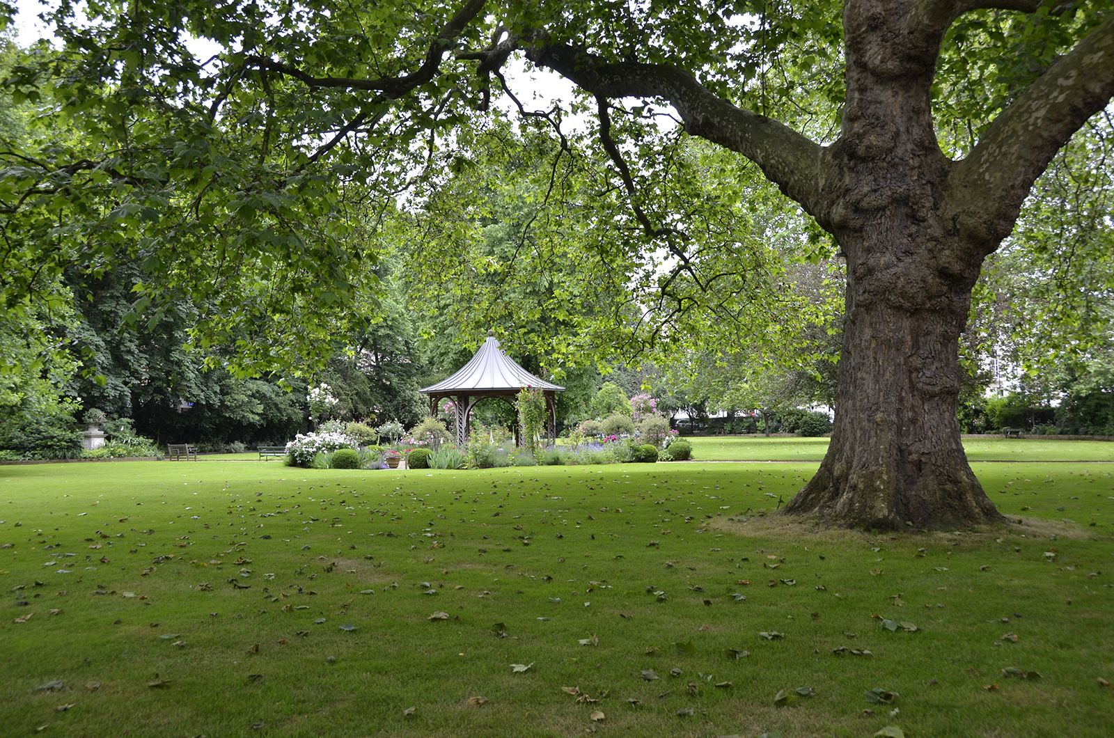 20160619-Kensington_Landscape_Royal-Crescent-Gardens_OGS