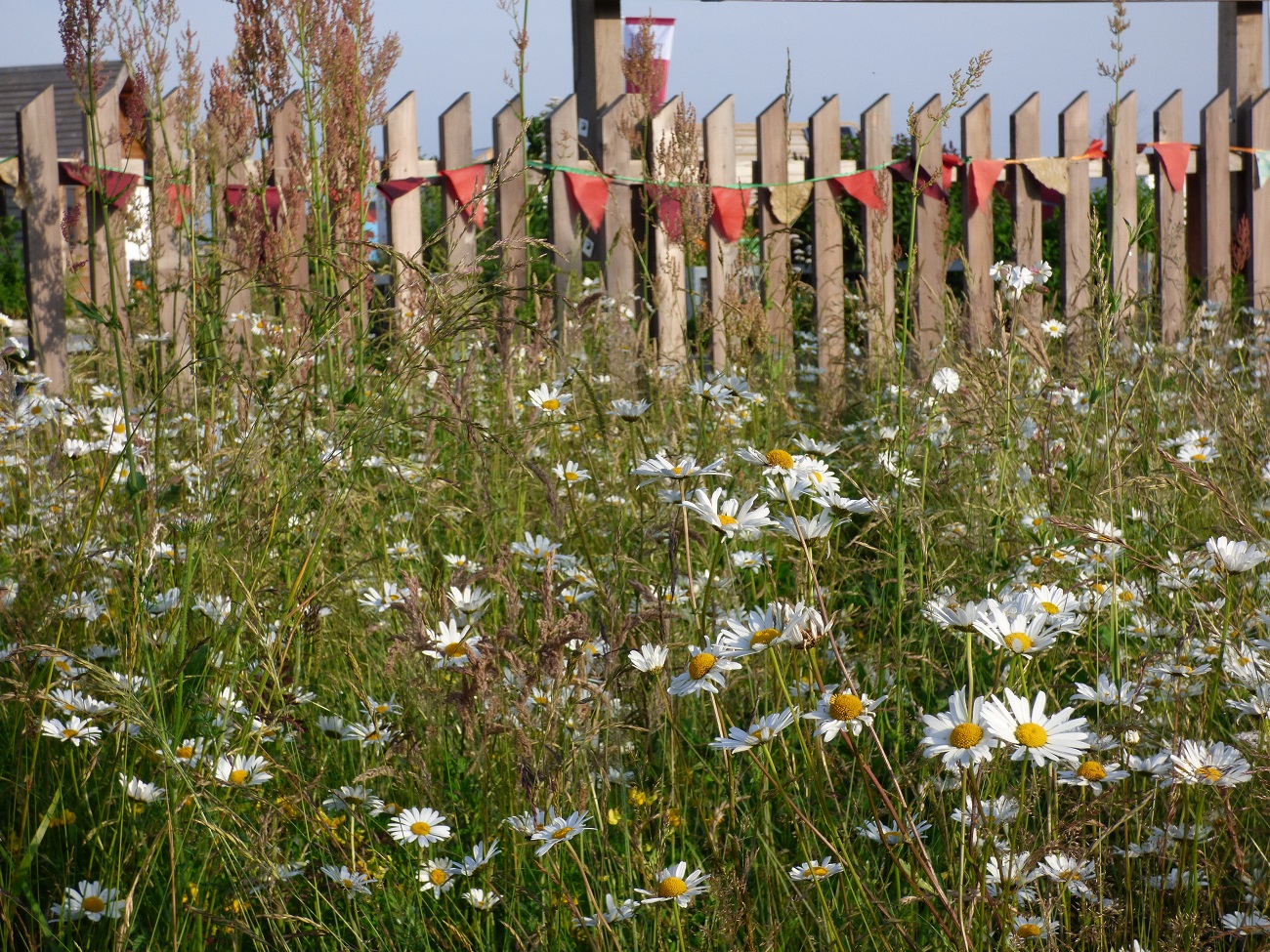 20160619_London-Borough-of-Newham_Mobile-Garden-City-Temple-Mills-Lane_Flags-Flowers