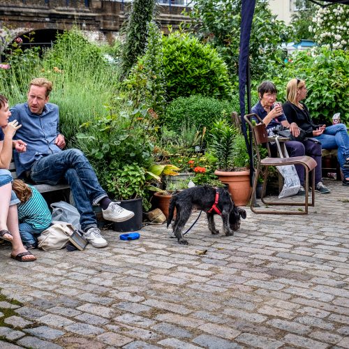20160619_Tower-Hamlets_Cable-Street-Community-Gardens_Dog-Day-Out