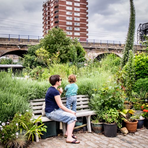 20160619_Tower-Hamlets_Cable-Street-Community-Gardens_Loving-Nature