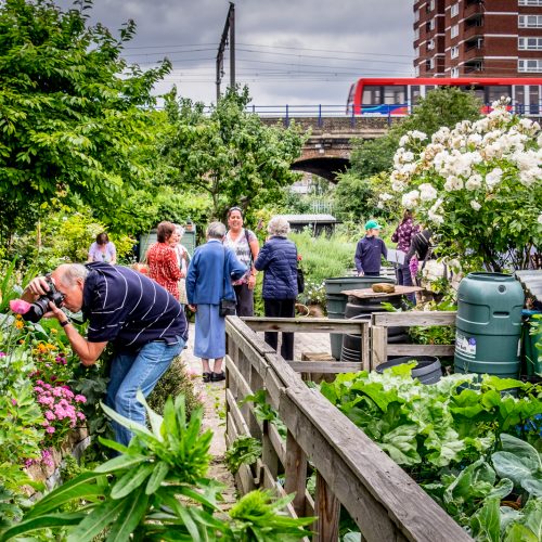 20160619_Tower-Hamlets_Cable-Street-Community-Gardens_Shoot-the-Flowers