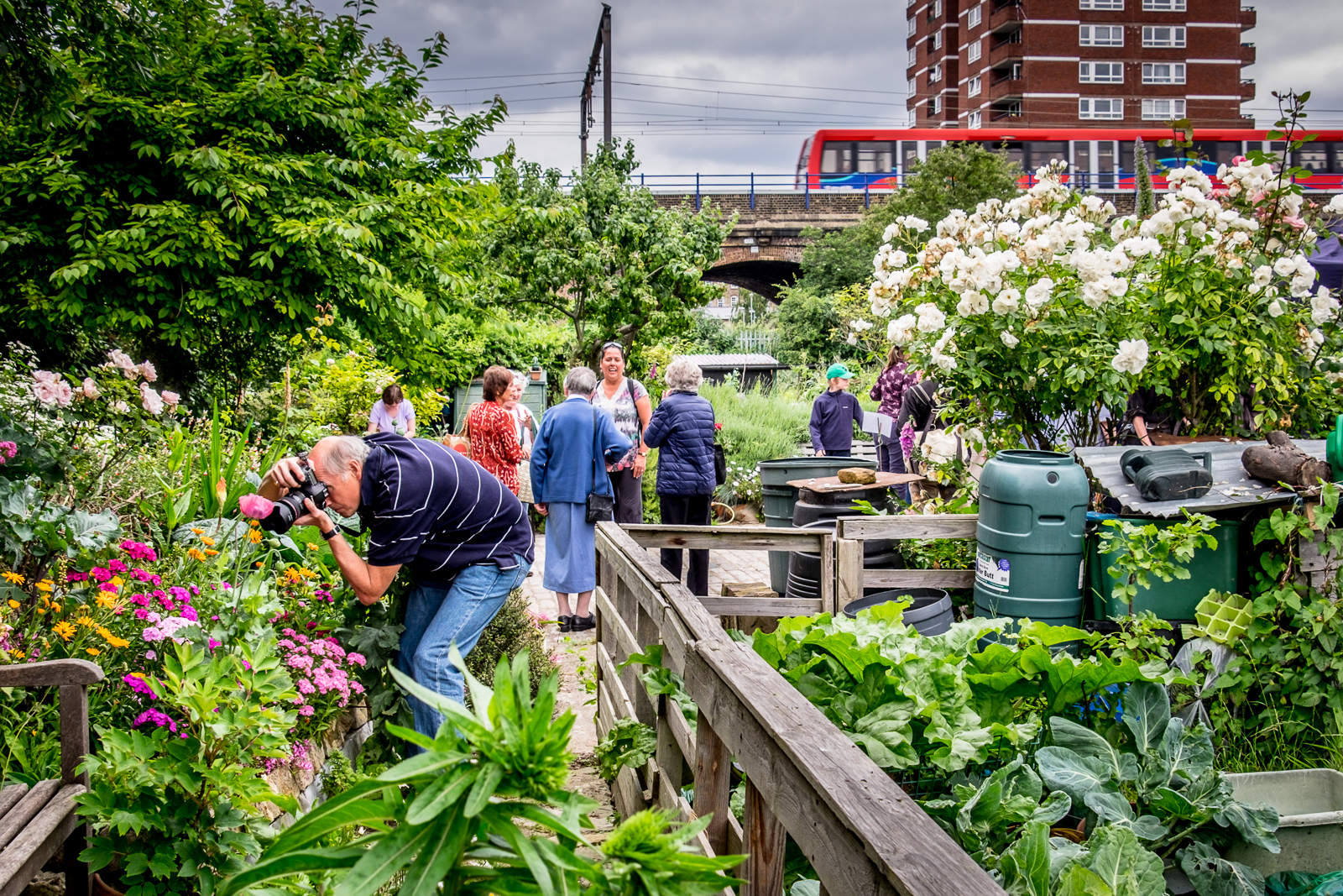 20160619_Tower-Hamlets_Cable-Street-Community-Gardens_Shoot-the-Flowers