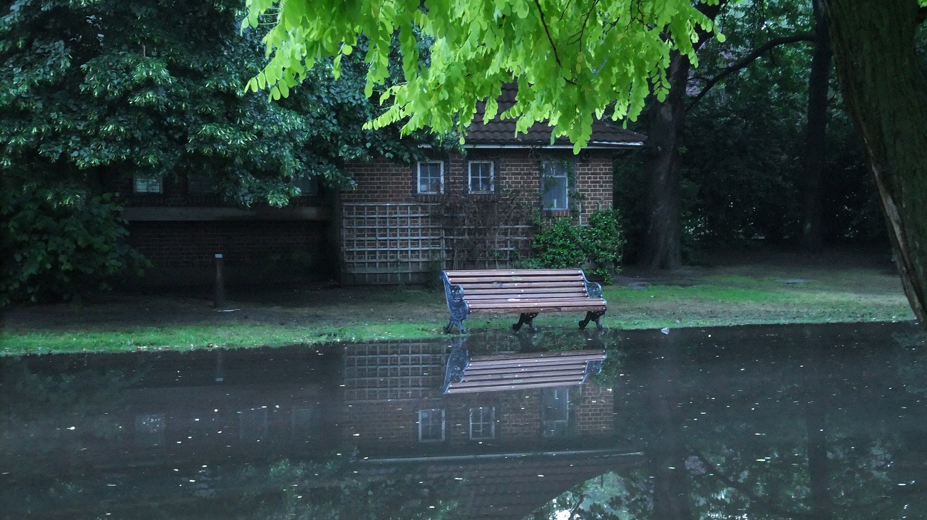 20160623_Tower-Hamlets_Victoria-Park_Referendum-Washout