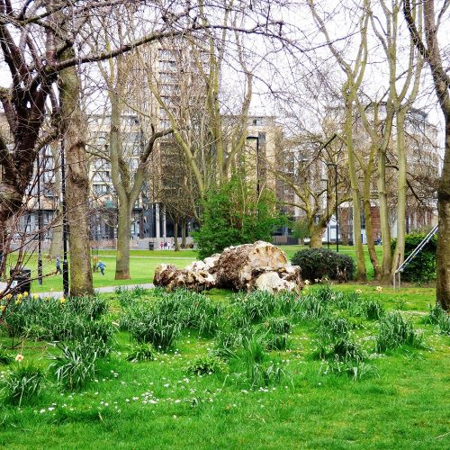 Meath Gardens_Tower Hamlets_London Parks and Gardens Trust_Beverley Poynter
