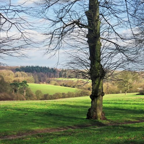 Trent Park EN4 February