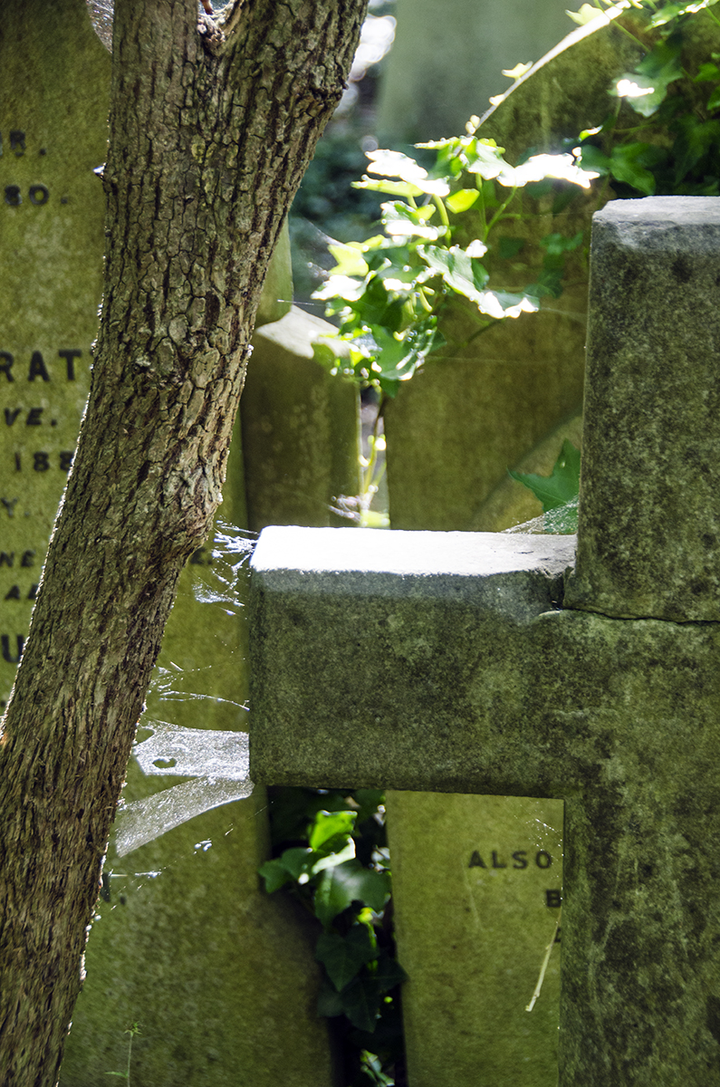 2016-07-06-Camden_Highgate-Cemetery-East_Summer_Cobwebs