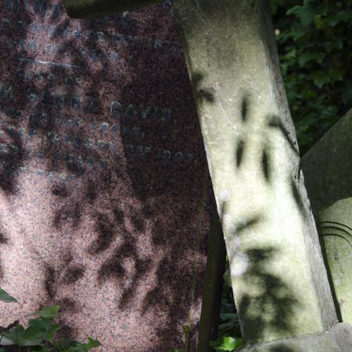 2016-07-06-Camden_Highgate-Cemetery-East_Summer_Shadows-and-Shapes