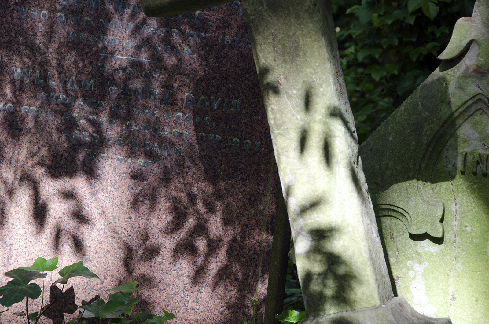 2016-07-06-Camden_Highgate-Cemetery-East_Summer_Shadows-and-Shapes