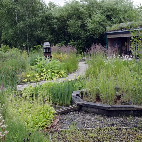 2016-07-08-Barnes_Wetlands-Centre_Summer_Insect-Garden
