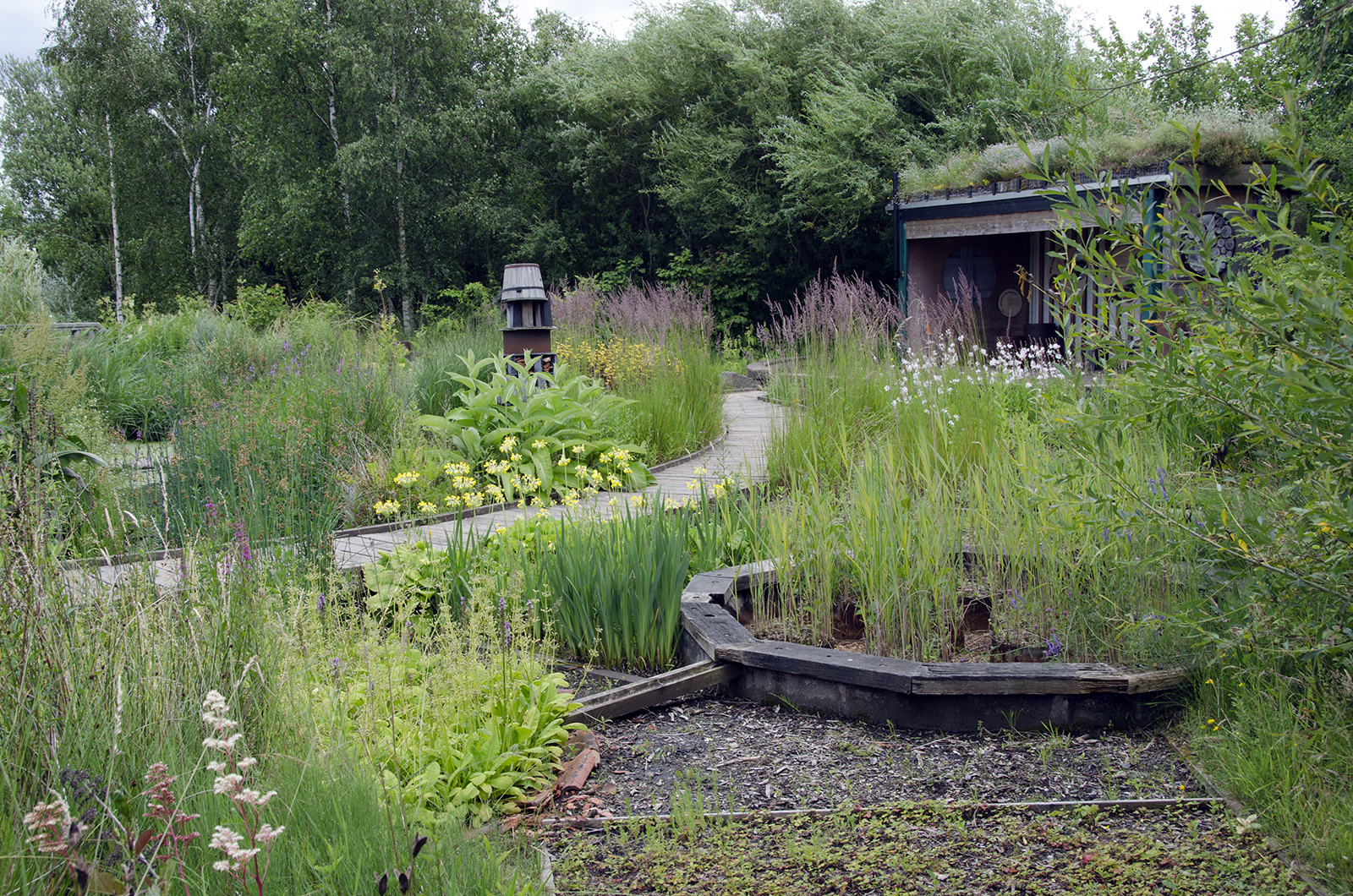 2016-07-08-Barnes_Wetlands-Centre_Summer_Insect-Garden