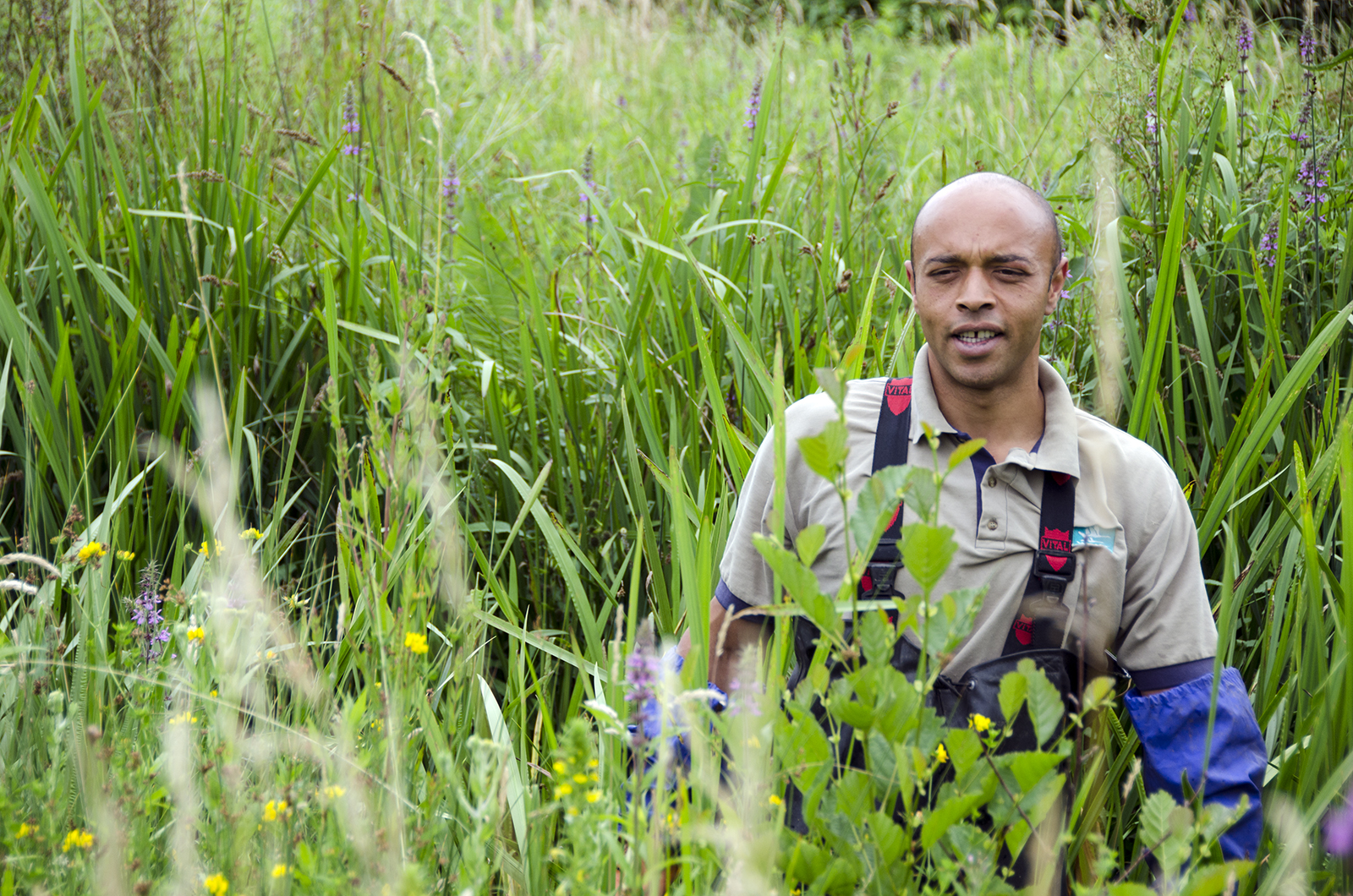 2016-07-08-Barnes_Wetlands-Centre_Summer_Man-at-Work