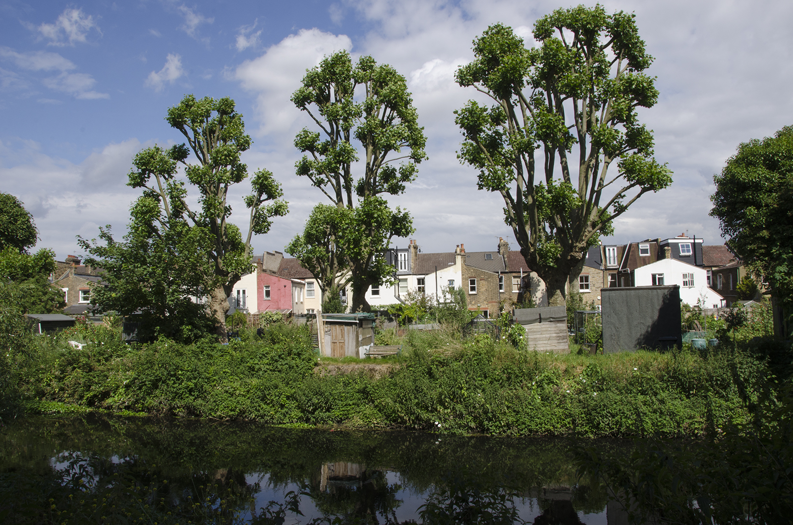 2016-07-13-Wandsworth_The-Wandle_Summer-Landscape