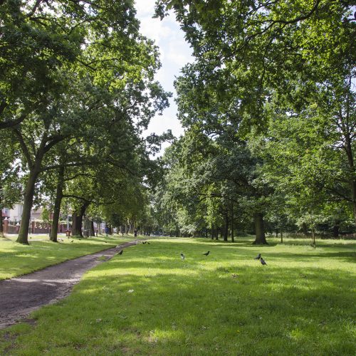 2016-07-13-Wandsworth_Tooting-Commons_Summer_Landscape