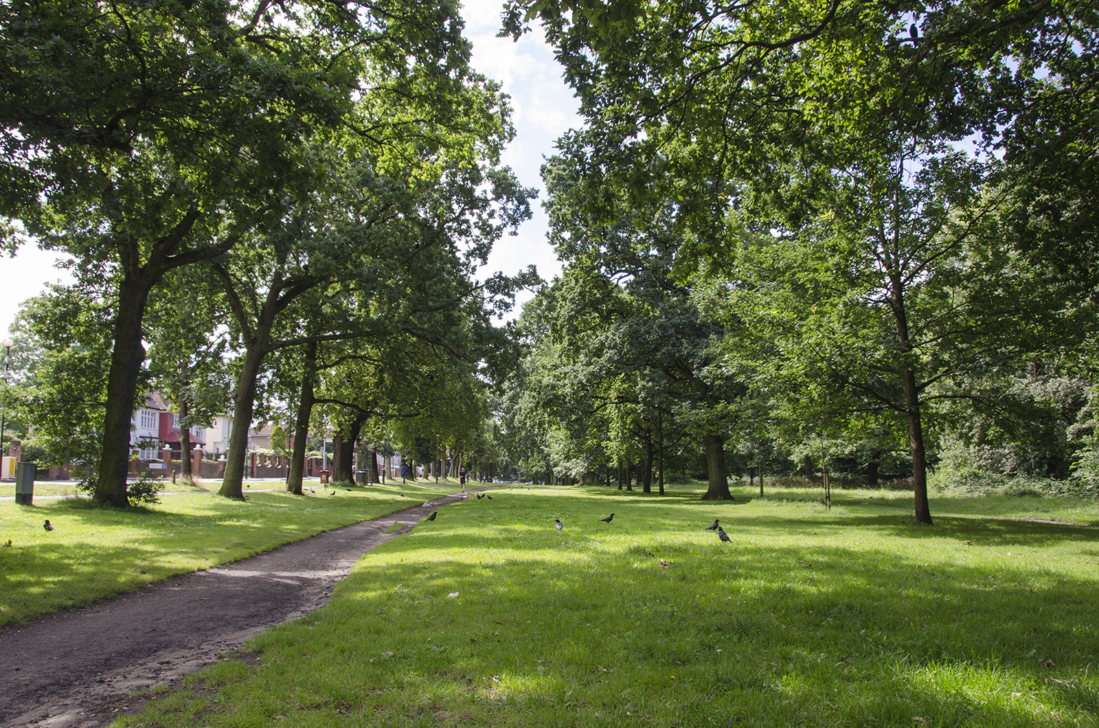 2016-07-13-Wandsworth_Tooting-Commons_Summer_Landscape