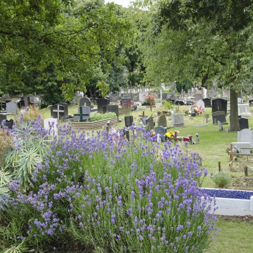 2016-07-13-Wandsworth_Wandsworth-Cemetery_Summer_Landscape