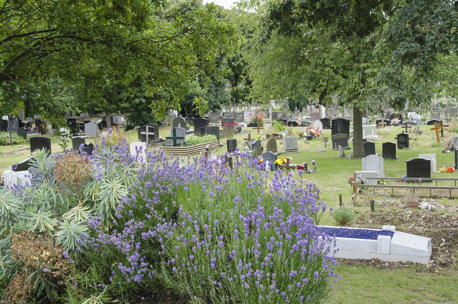 2016-07-13-Wandsworth_Wandsworth-Cemetery_Summer_Landscape