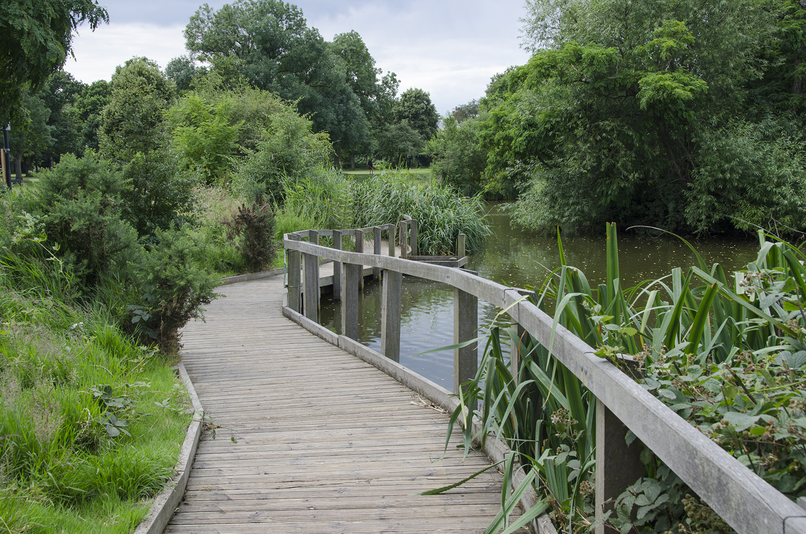 2016-07-13-Wandsworth_Wandsworth-Common_Summer_Landscape_By-the-Lake