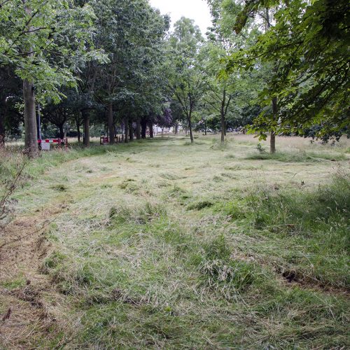 2016-07-13-Wandswotth_Wandsworth-Common_Summer_Landscaping_Haymaking