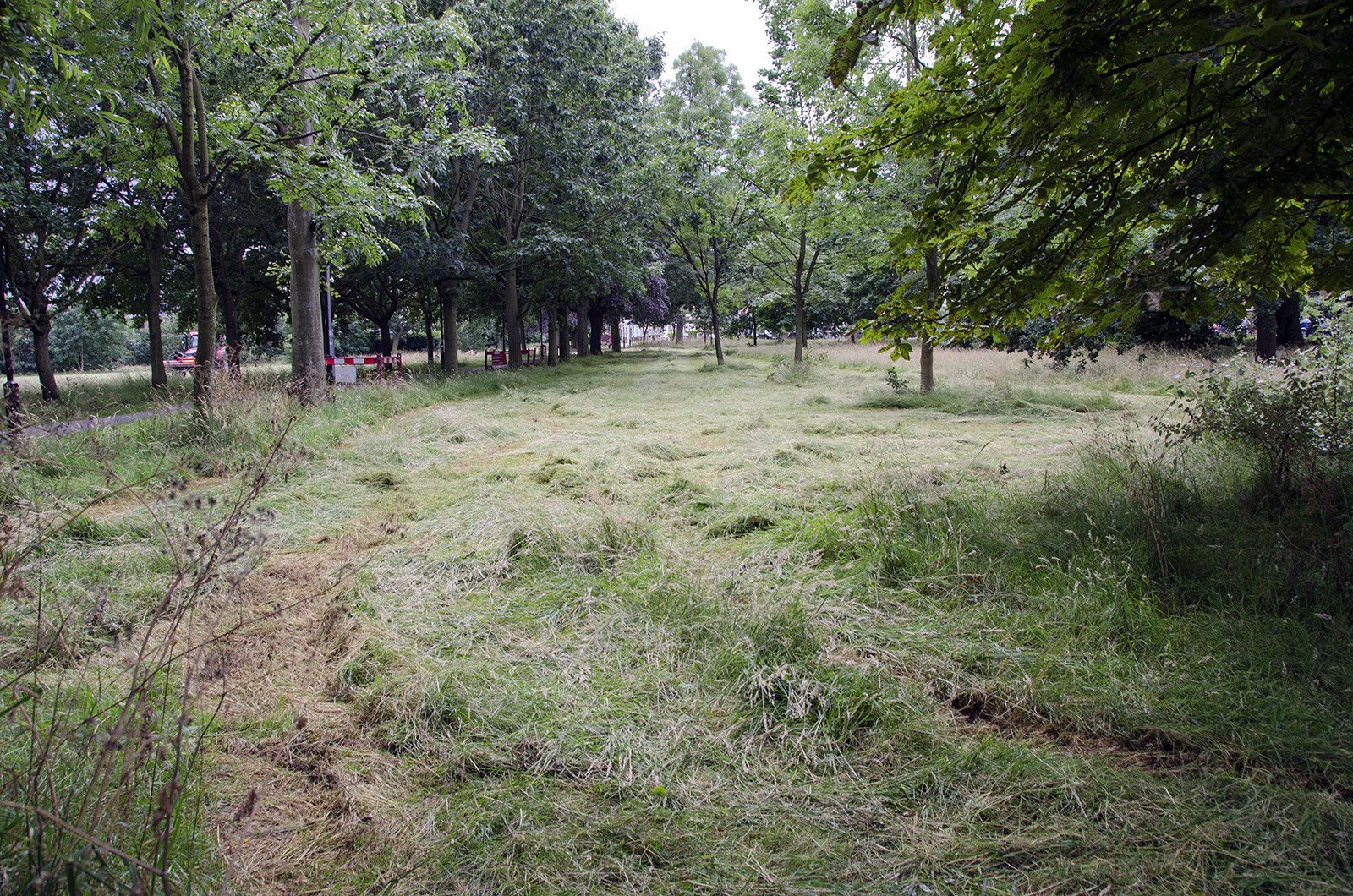 2016-07-13-Wandswotth_Wandsworth-Common_Summer_Landscaping_Haymaking