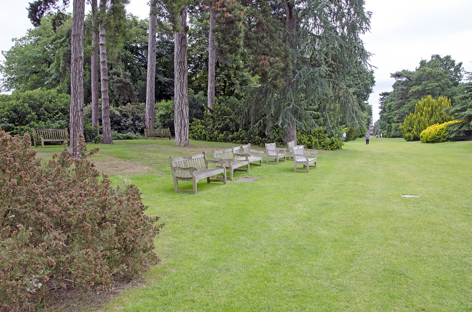 2016-07-15-Richmond_RBG-Kew_Landscape_Summer_A-real-breathing-space