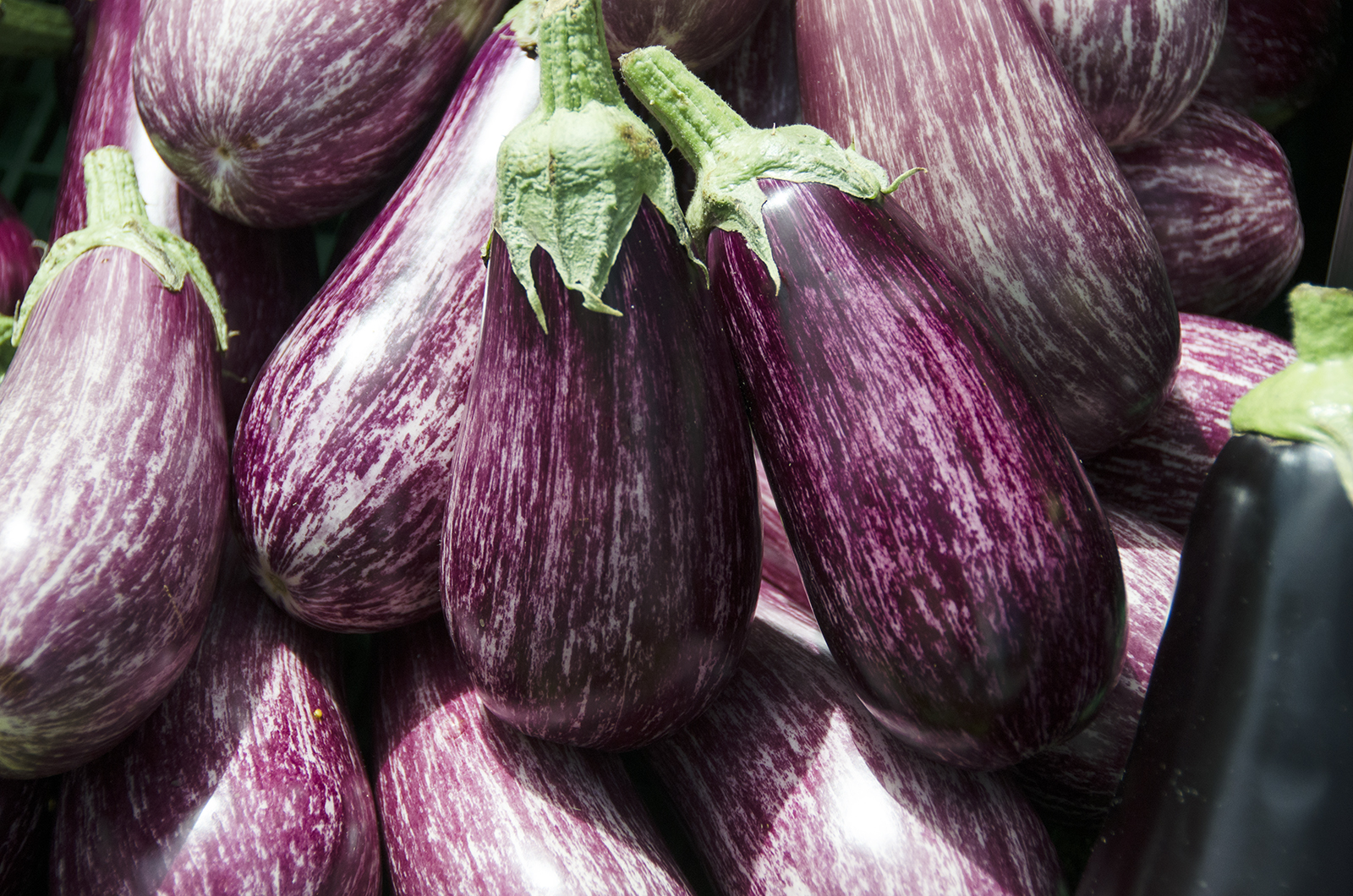 2016-07-18-Kingston_Market_Aubergines