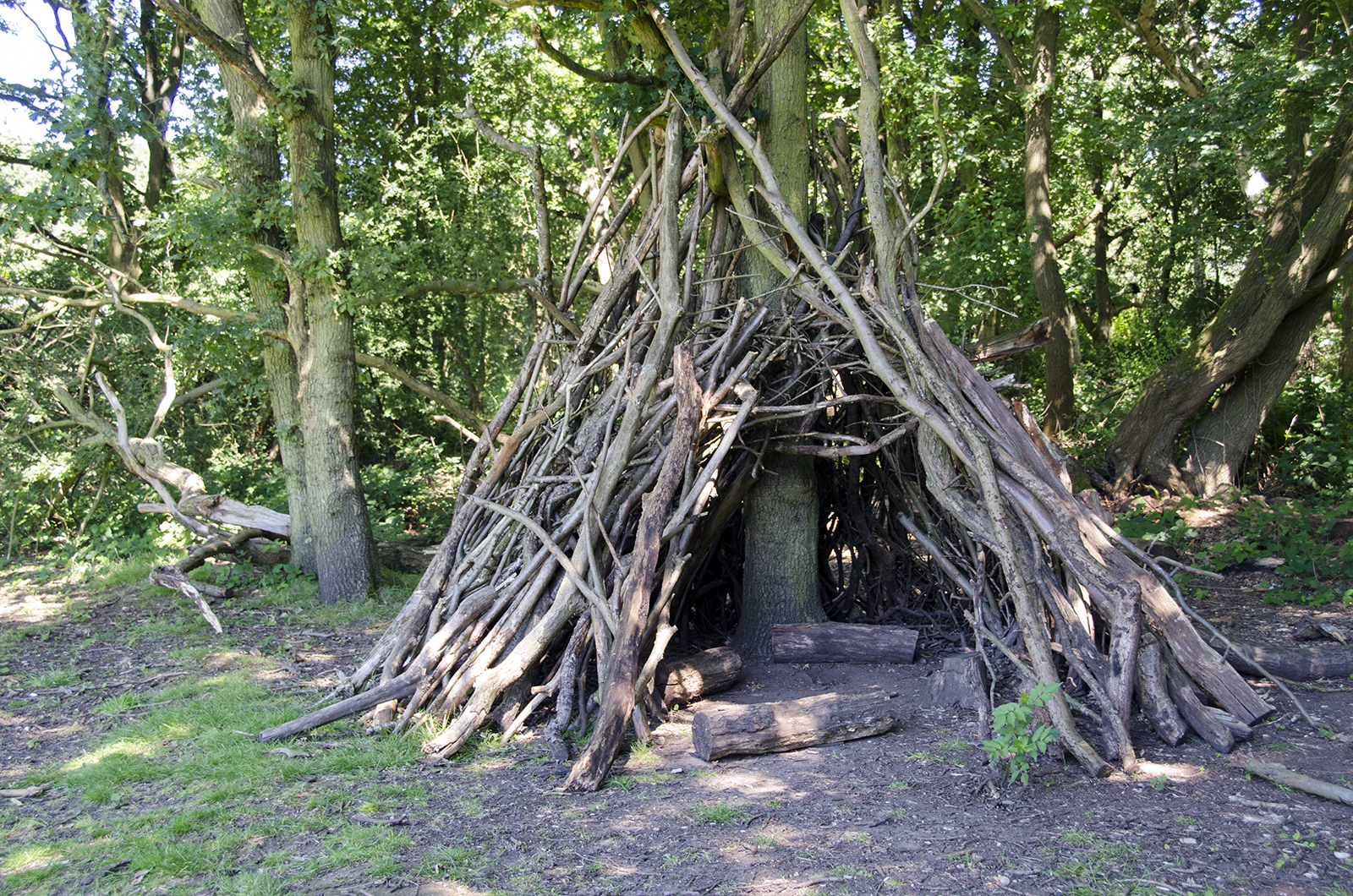 2016-07-18-Merton_Beverley-Meads-and-Fishpond-Woods-Nature-Reserve_Summer_Play-Space