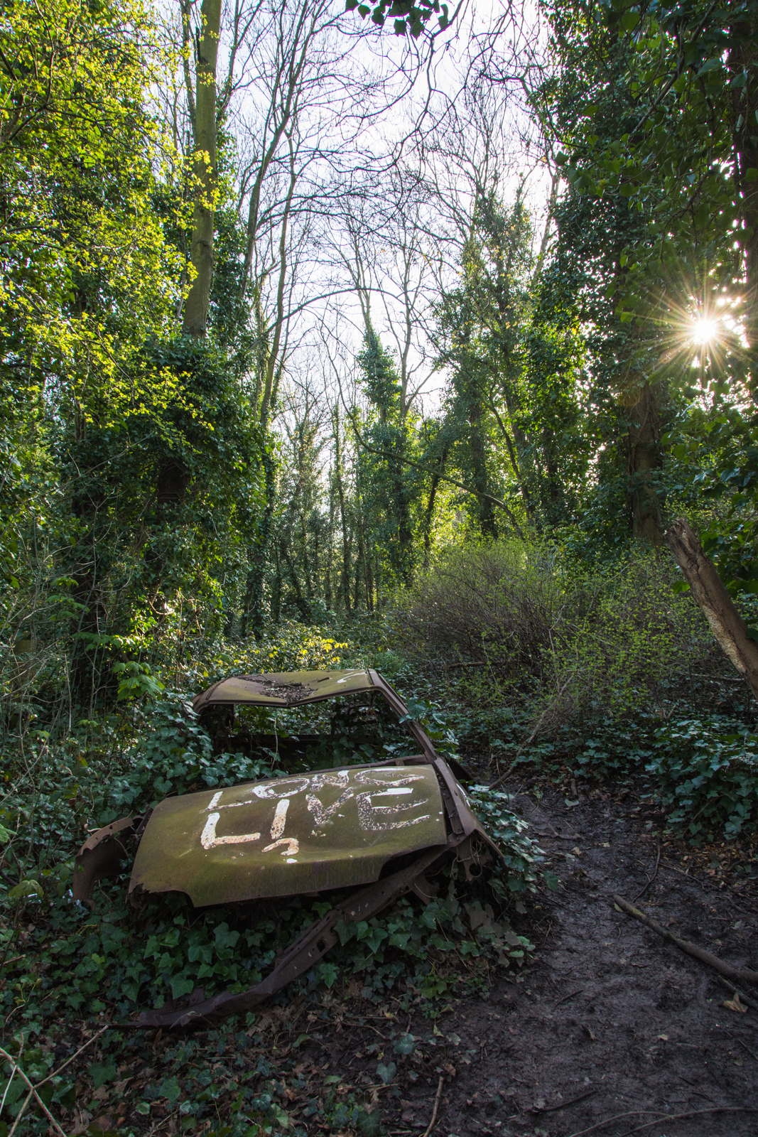 20160410_Barnet_StPancrasandIslingtoncemetry-4