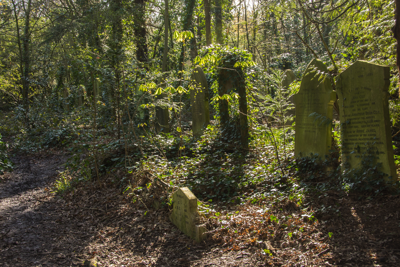 20160410_Barnet_StPancrasandIslingtoncemetry-5