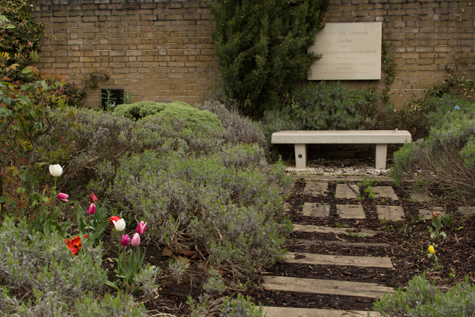 20160416_Haringey_HornseyParkCommunityGarden