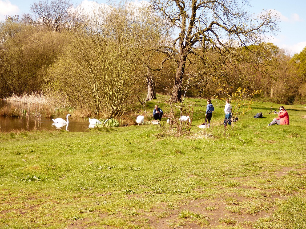 20160417_Redbridge_Wanstead-Park_Visiting-Heronry-Pond