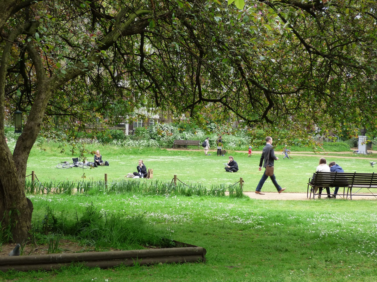 20160517_London-Borough-of-Camden_Gordon-Square-Garden_Spot-the-Pigeon