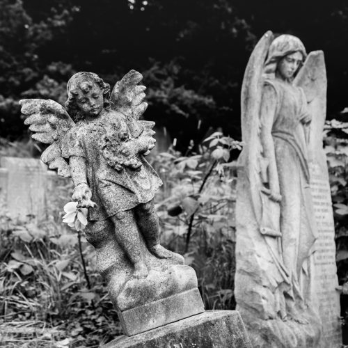 20160604_Lewisham_Brockley-Ladywell-Cemetery_Picking-Flowers