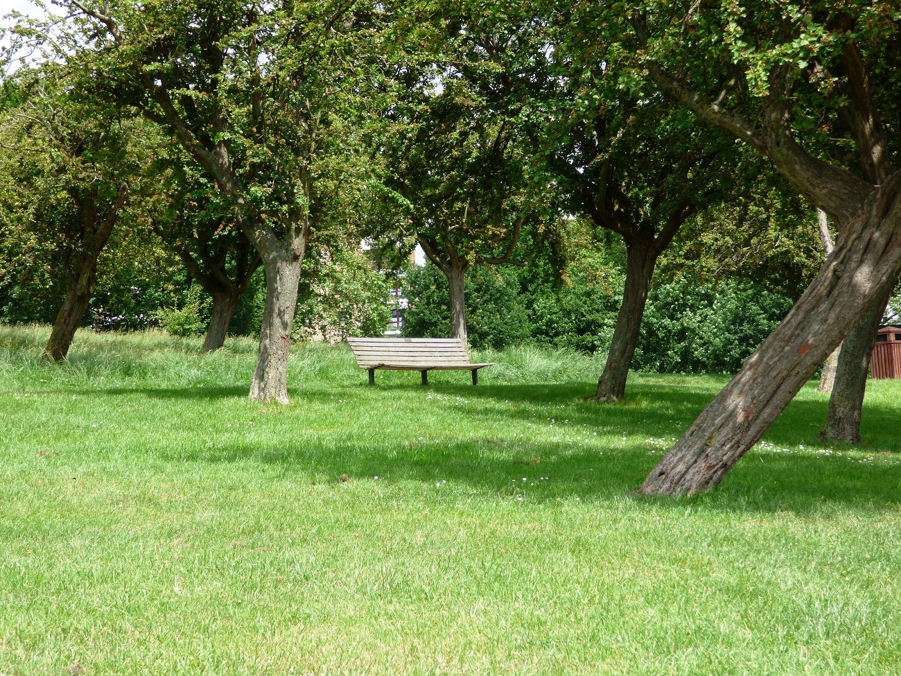 20160615_Camden_Promrose-Hill_Single-Bench