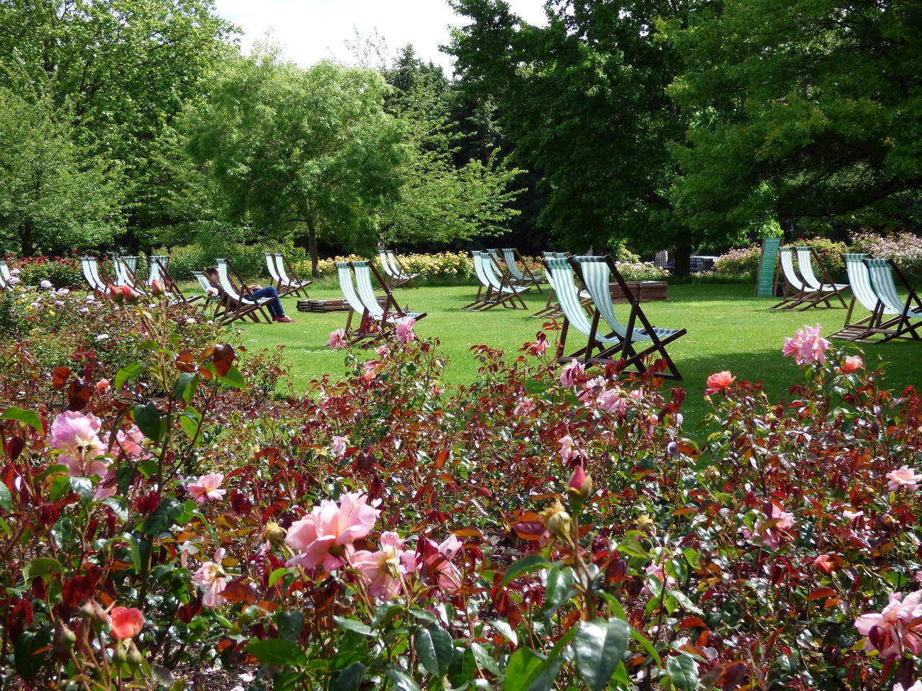 20160615_Camden_Regents-Park_Deck-Chairs-on-the-Lawn