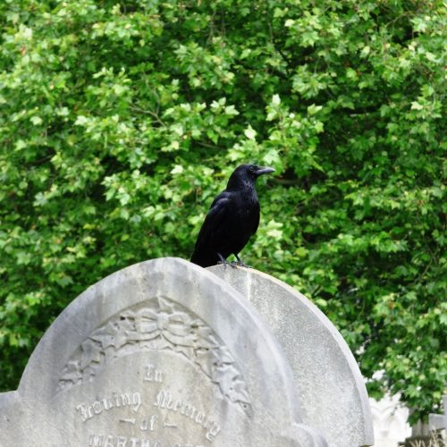 20160619_Newham_City-of-London-Cemetery-Crematorium_Watchful