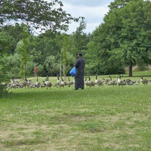 20160628_Redbridge_South-Park_Fasting-with-Compassion-during-Ramadan