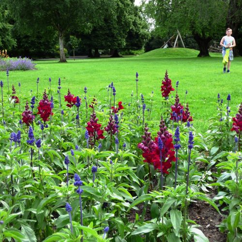 20160628_Redbridge_South-Park_That-Kid-in-the-Floral-Ground