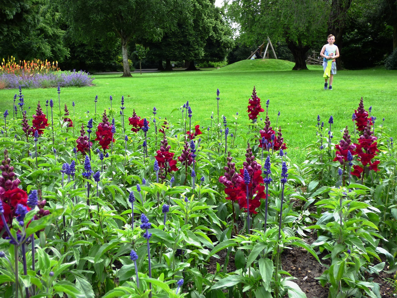 20160628_Redbridge_South-Park_That-Kid-in-the-Floral-Ground