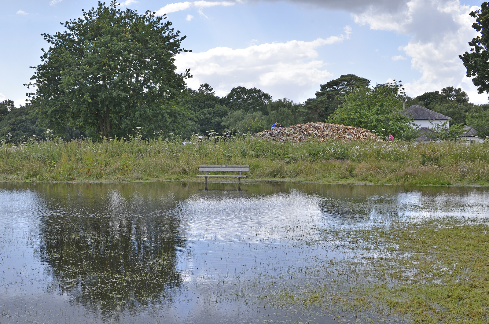 20160701-Merton_-Wmbledon-Common_The-Plain-Wet-Day