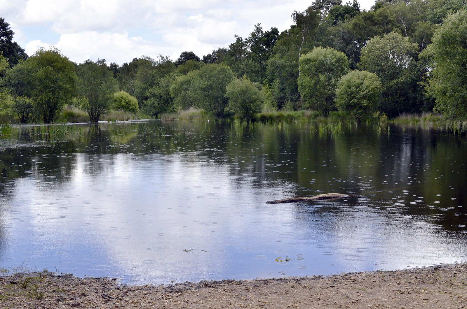 20160701-Merton_Wimbledon-Common_Landscape_Light-rain-falls-on-Bluegate-Gravel-Pit