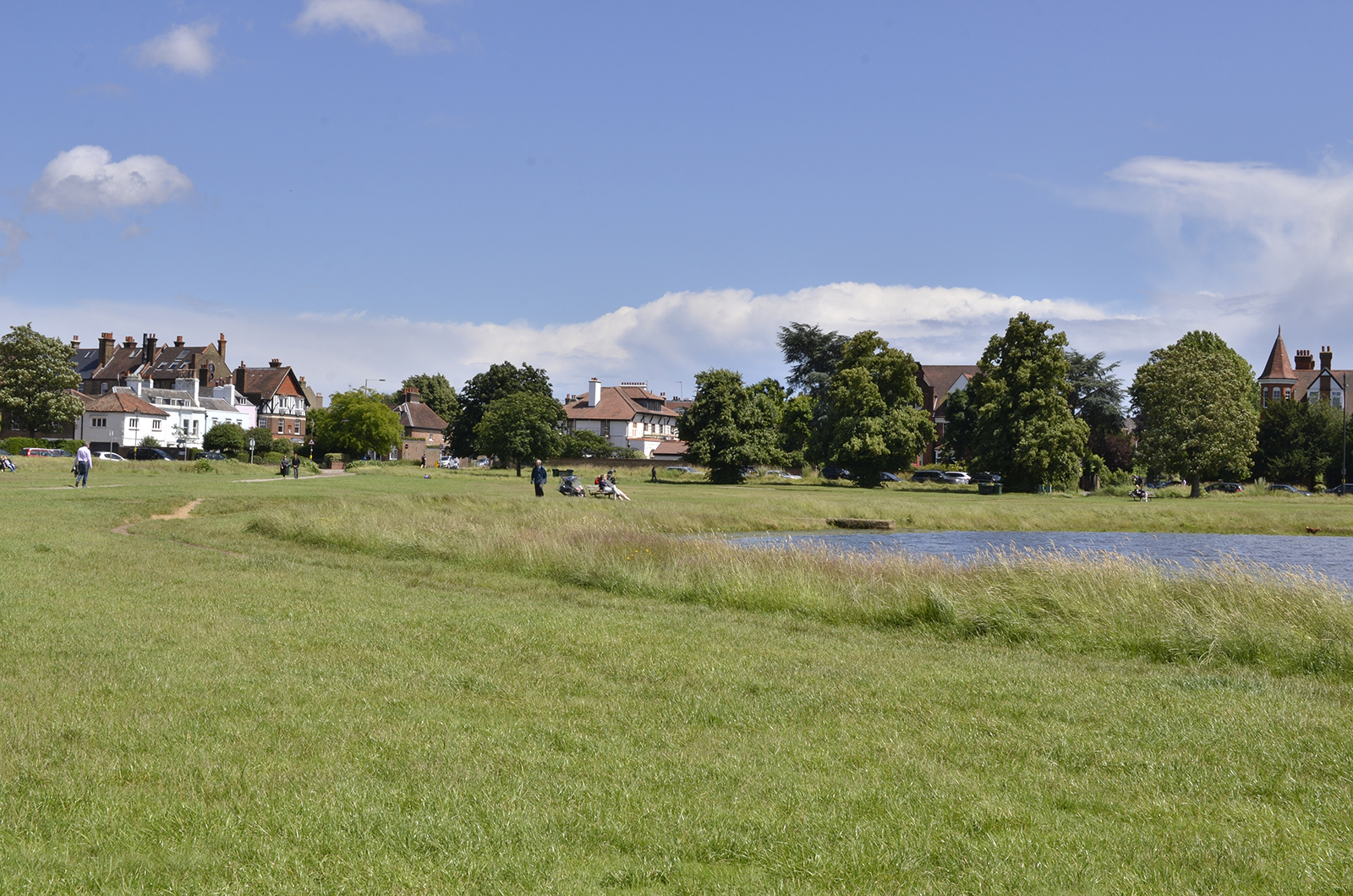 20160701-Merton_Wimbledon-Common_Landscape_rushmere