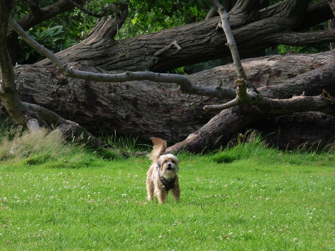 20160708_Haringey_Finsbury-Park_The-surprise-greeting