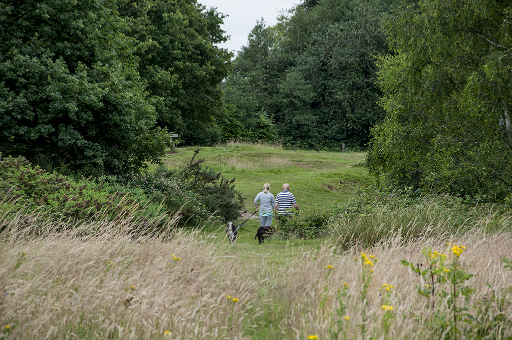 20160715_Barnet_Monken-Hadley-Common_Dog-walkers