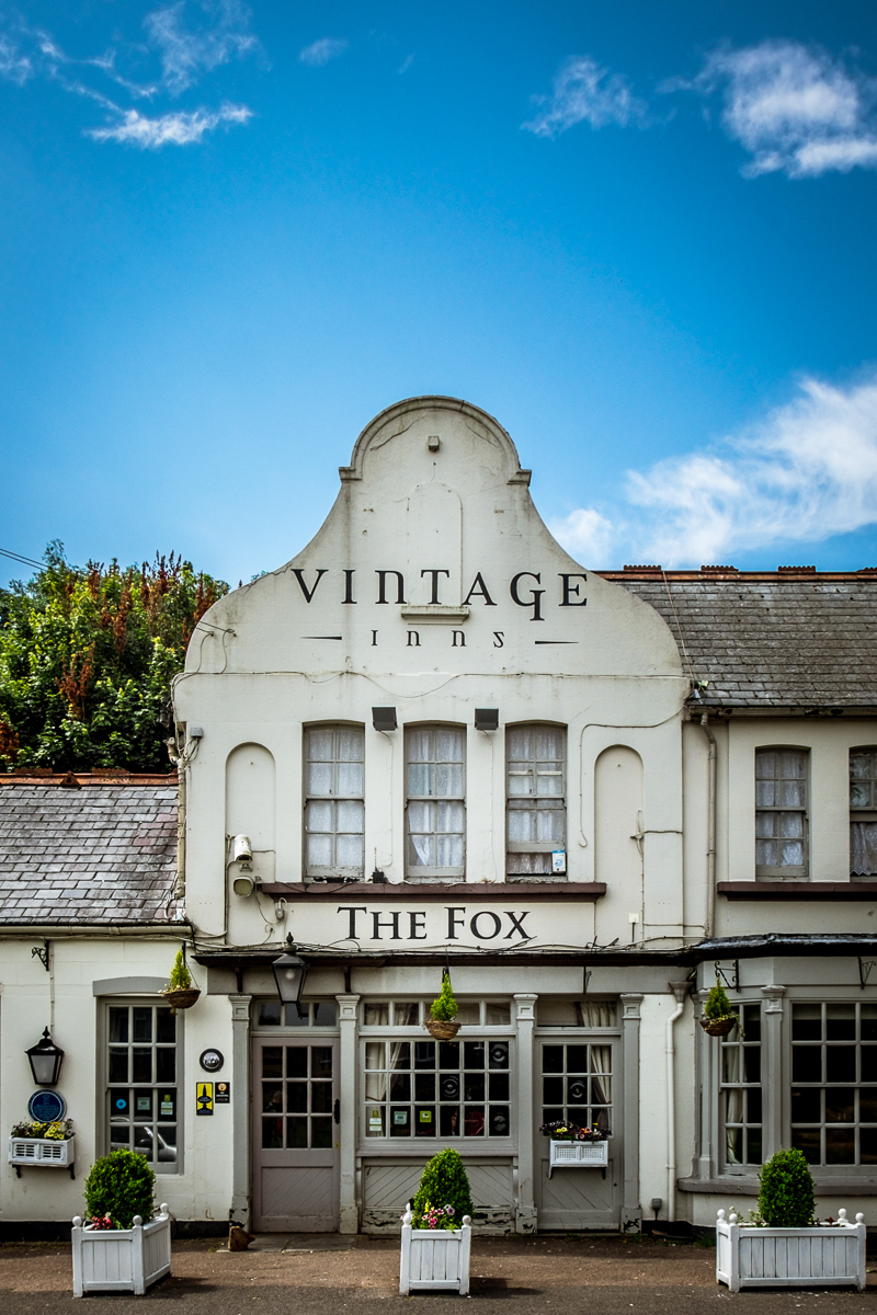 20160720_Croydon_Coulsdon-Common_The-Fox